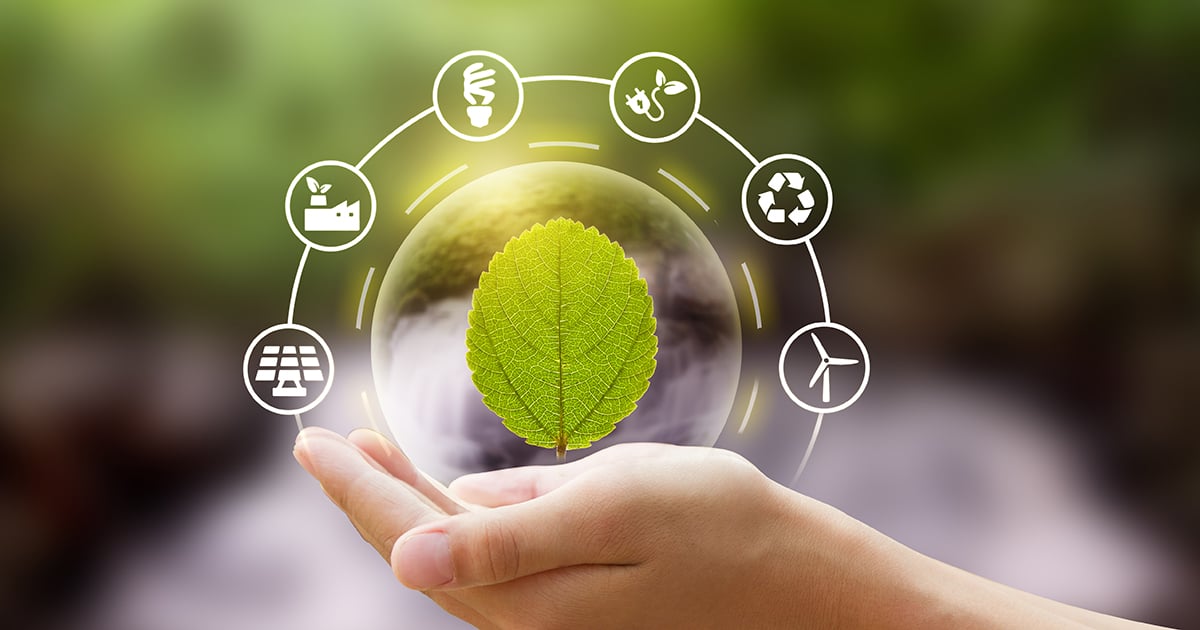 The Energy Transition Series: Hydrogen and the new economy
