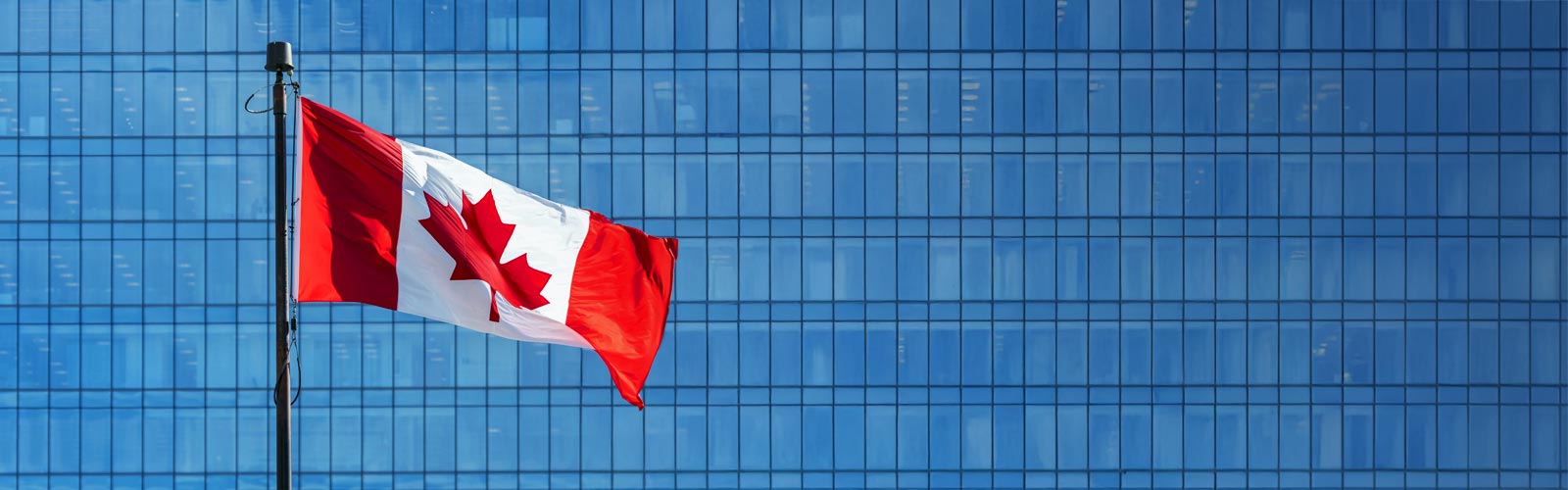 From Eh to Zed: The practical guide to doing business in Canada in 2026