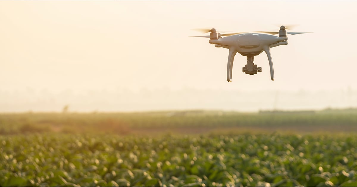Tendances à surveiller en 2021 – Agro-industrie : technologies et transformations