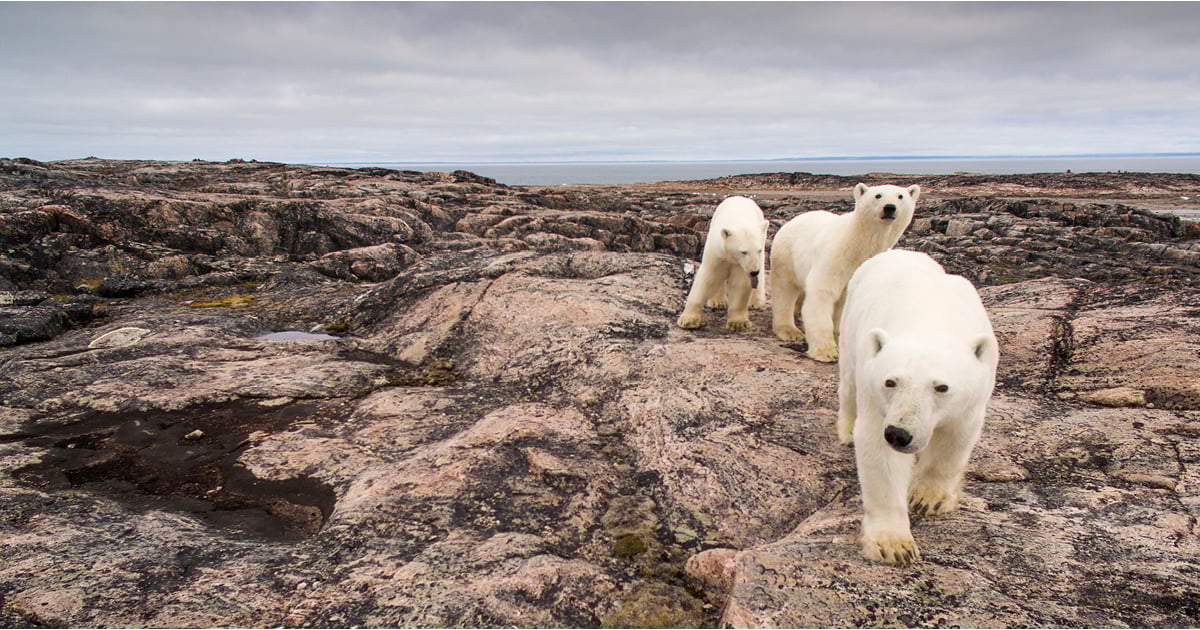 Tendances à surveiller en 2021 – Facteurs ESG : des coulisses à l’avant-scène